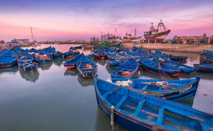 Excursão de um dia Essaouira