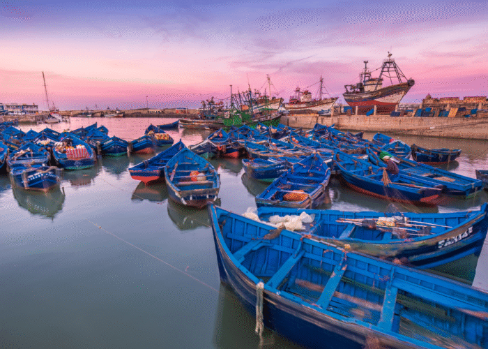 Excursão de um dia Essaouira