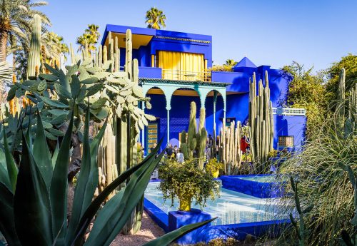 marrakech-majorelle-garden-yves-saint-laurent